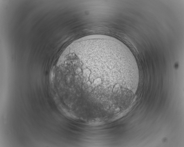 X0000116630095201001221410