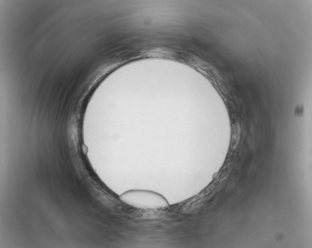 X0000116630098201001221409