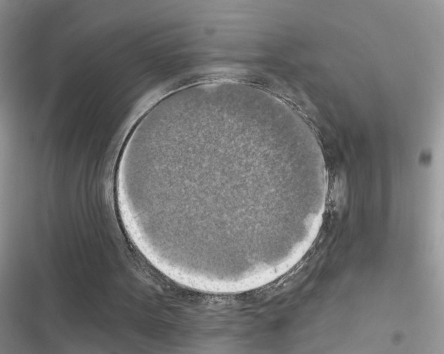 X0000116630099201001221409