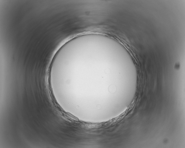 X0000116630100201001221409