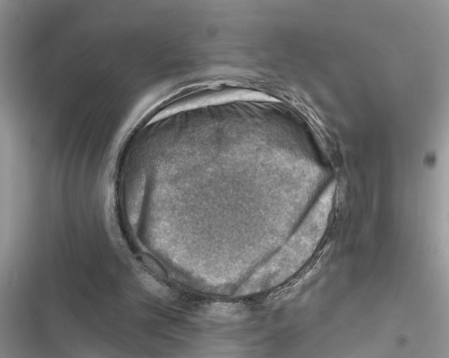 X0000116630101201001221409