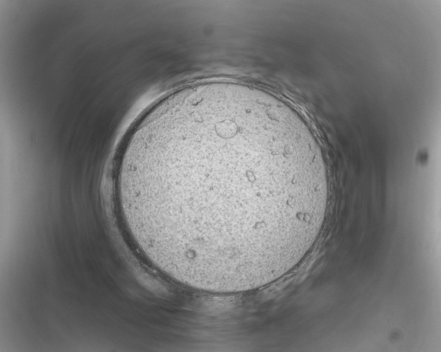 X0000116630102201001221409