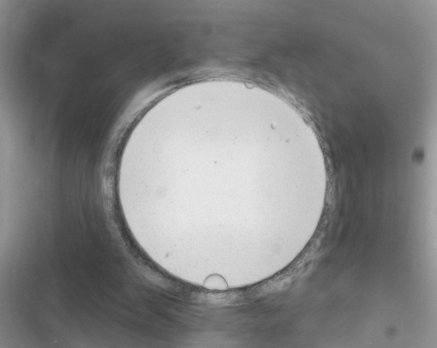 X0000116630103201001221409