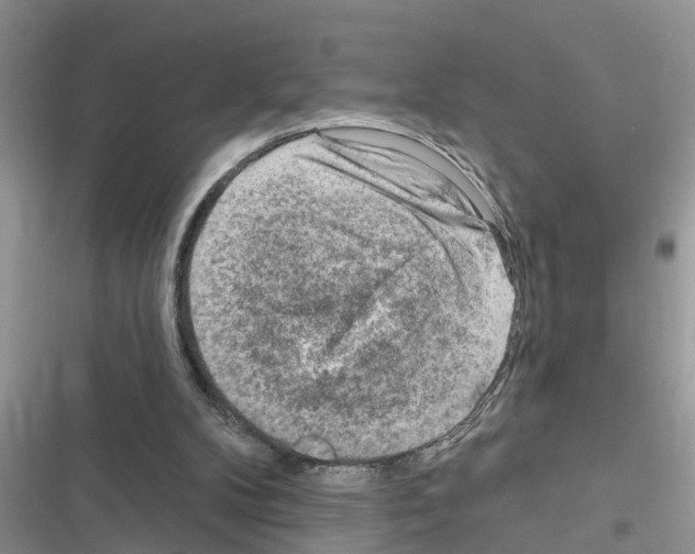 X0000116630104201001221409