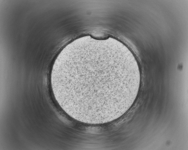 X0000116630105201001221409