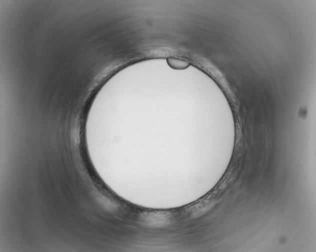 X0000116630106201001221409