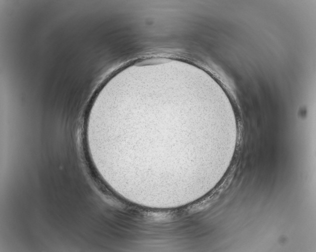 X0000116630107201001221409