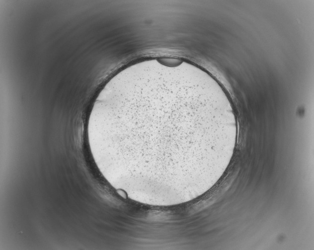 X0000116630109201001221409