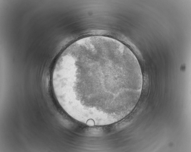 X0000116630110201001221409