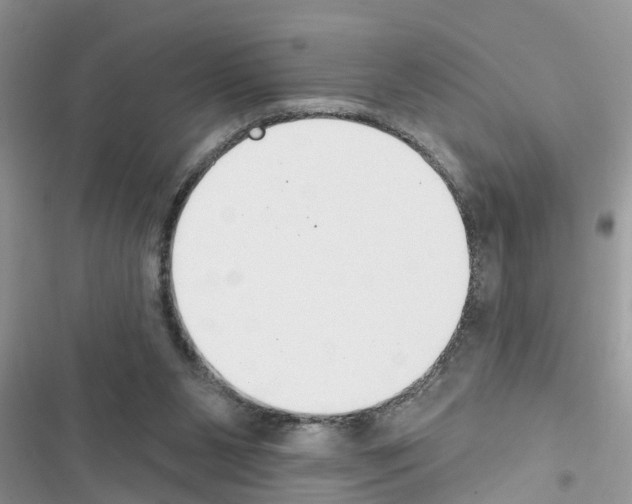 X0000116630111201001221409