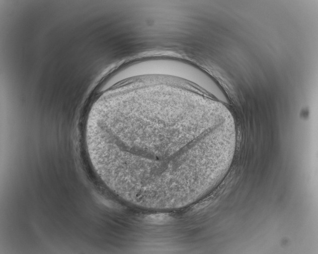 X0000116630112201001221409