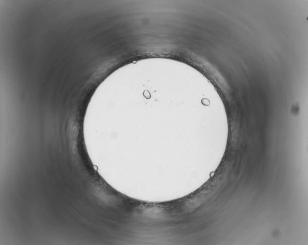 X0000116630113201001221409