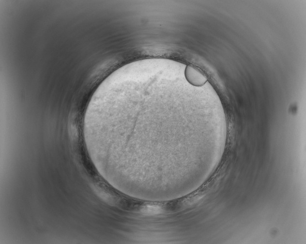 X0000116630114201001221409