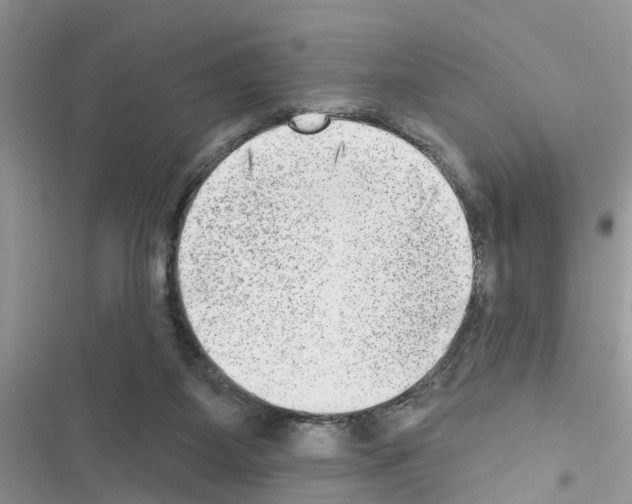 X0000116630115201001221409