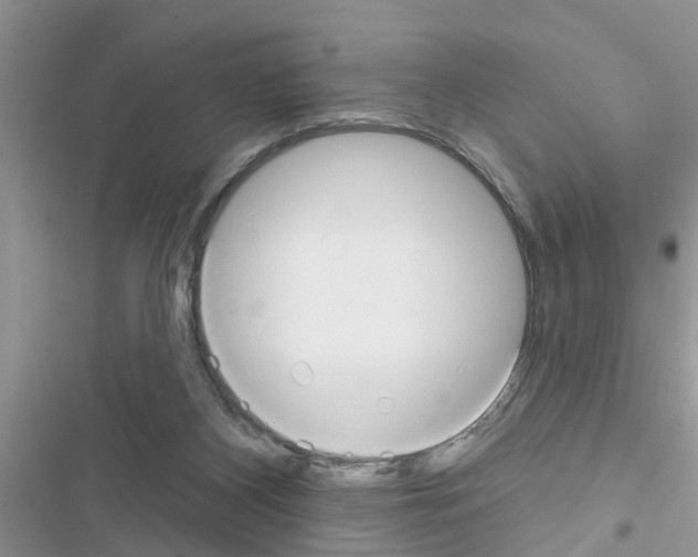 X0000116630116201001221409