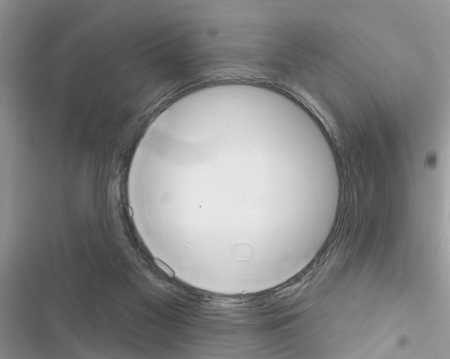 X0000116630117201001221409