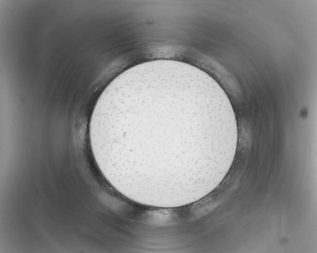X0000116630118201001221409