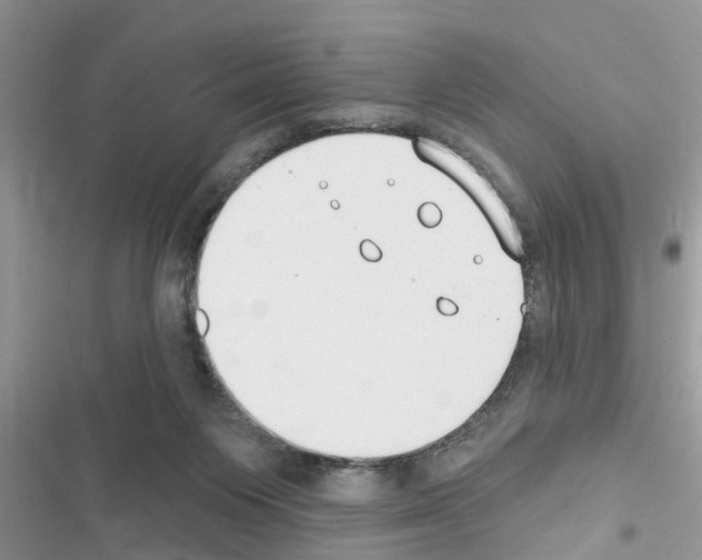 X0000116630119201001221409