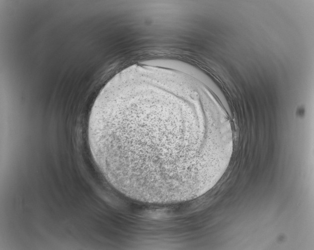 X0000116630120201001221409