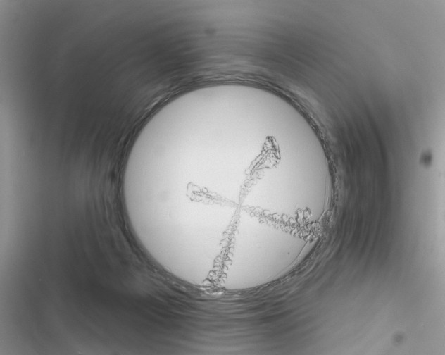 X0000116630121201001221409