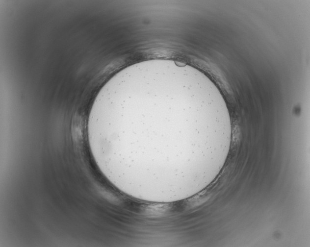 X0000116630122201001221409