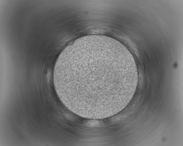 X0000116630123201001221409