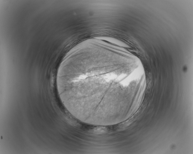 X0000116630124201001221409