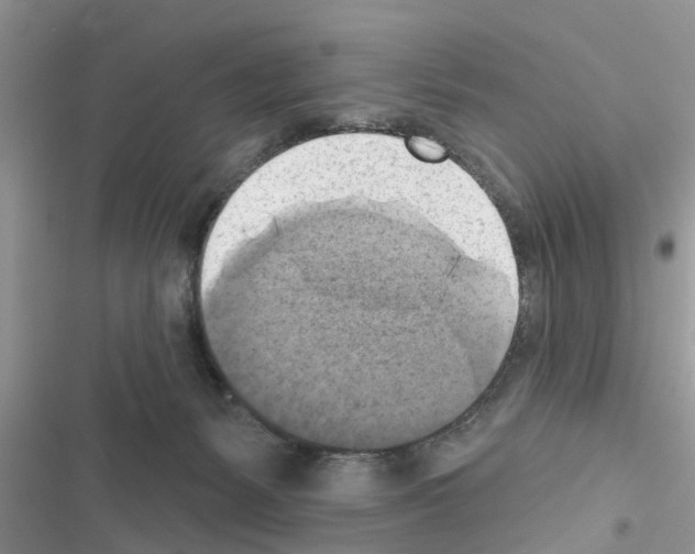 X0000116630127201001221409