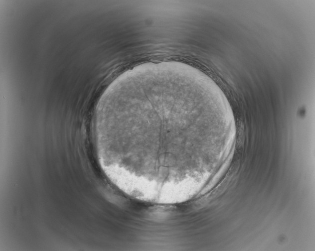 X0000116630128201001221409