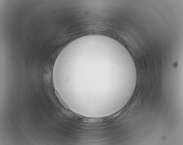X0000116630129201001221409