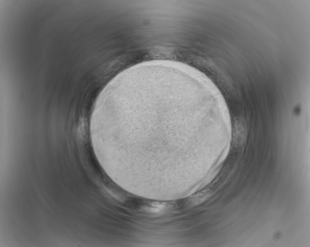 X0000116630130201001221409