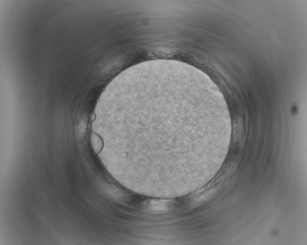 X0000116630134201001221408