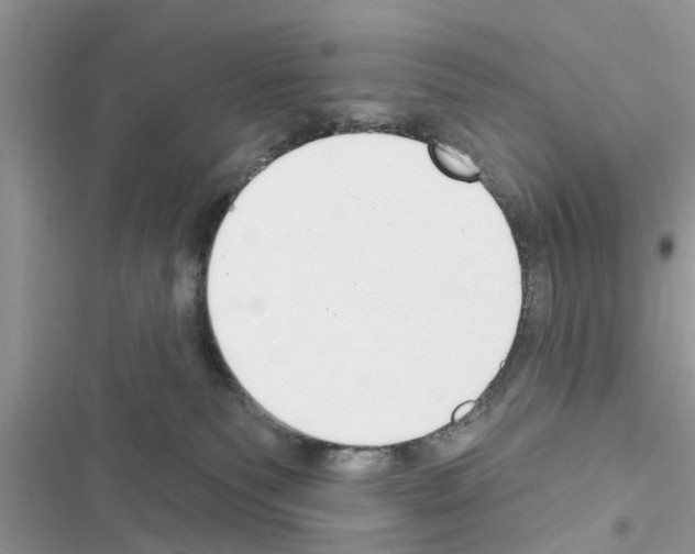 X0000116630135201001221408