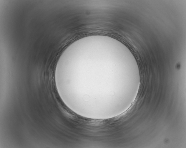 X0000116630136201001221408