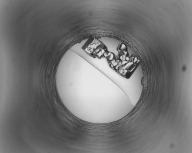 X0000116630137201001221408