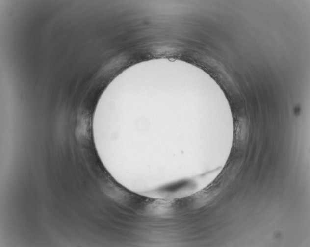 X0000116630138201001221408
