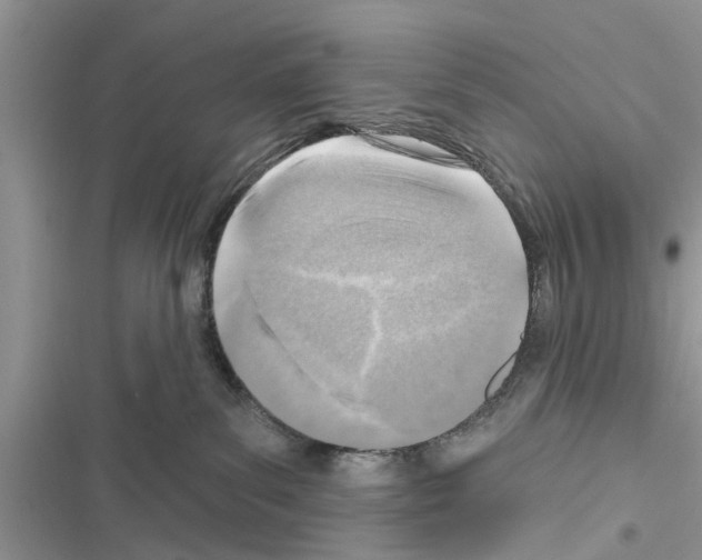 X0000116630139201001221408