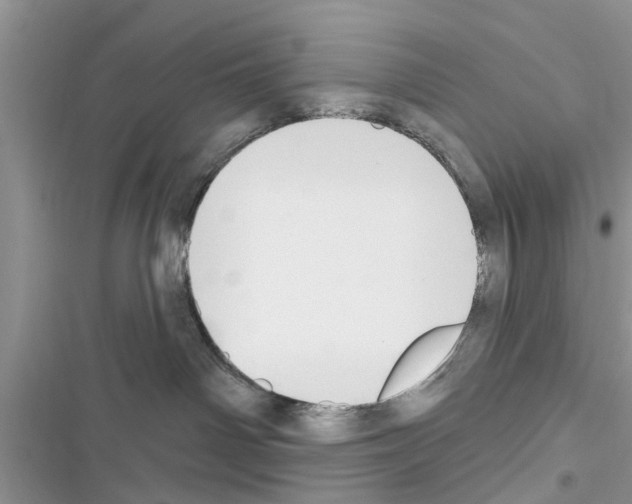 X0000116630142201001221408