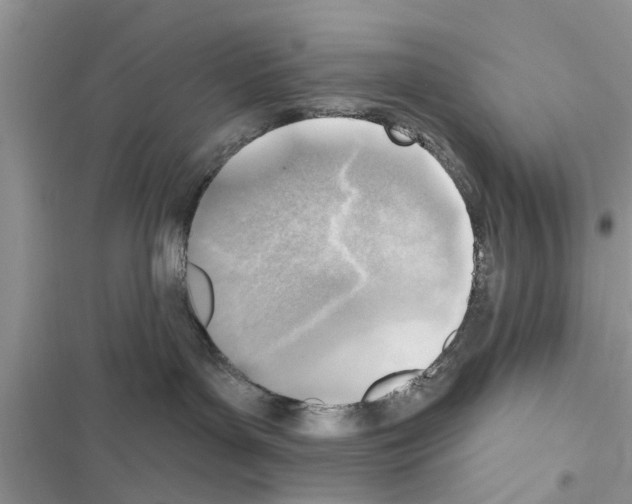 X0000116630143201001221408