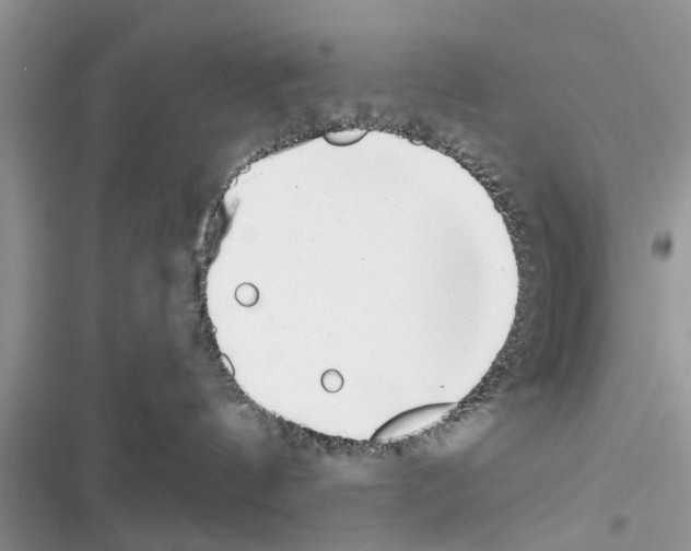 X0000116630144201001221408