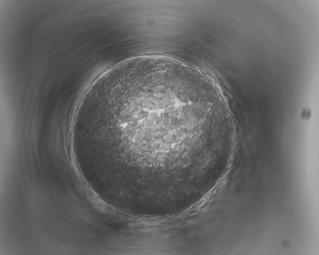 X0000116630145201001221408