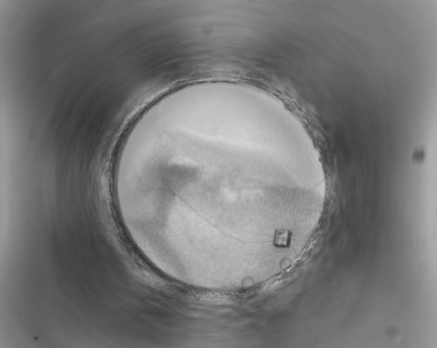 X0000116630146201001221408