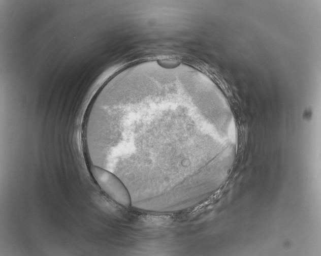 X0000116630147201001221408