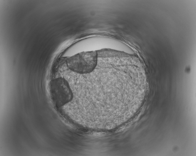 X0000116630149201001221408