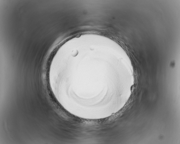X0000116630150201001221408
