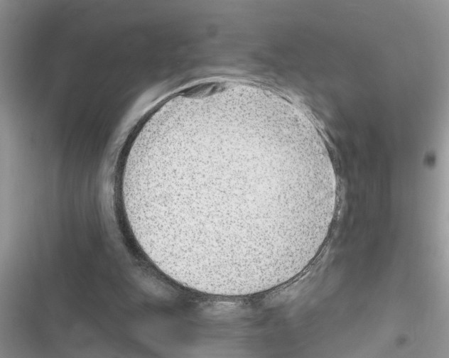 X0000116630151201001221408