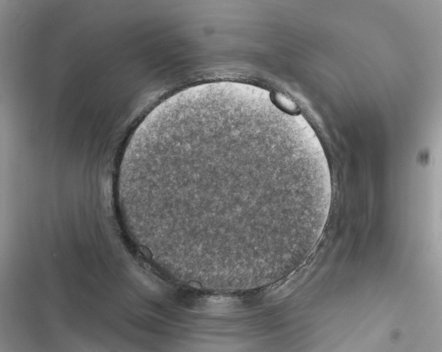 X0000116630154201001221408
