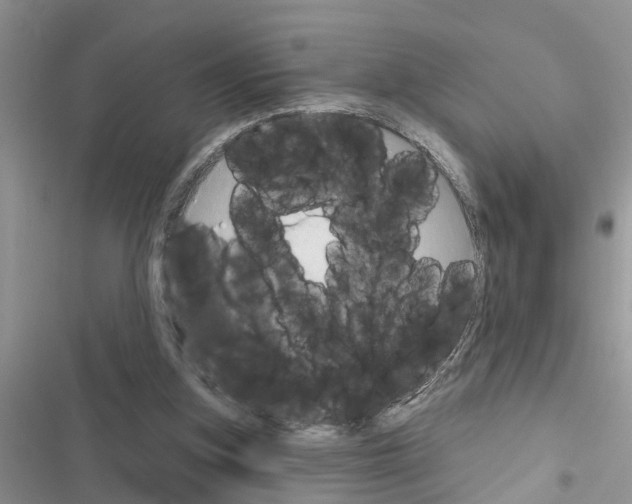 X0000116630155201001221408