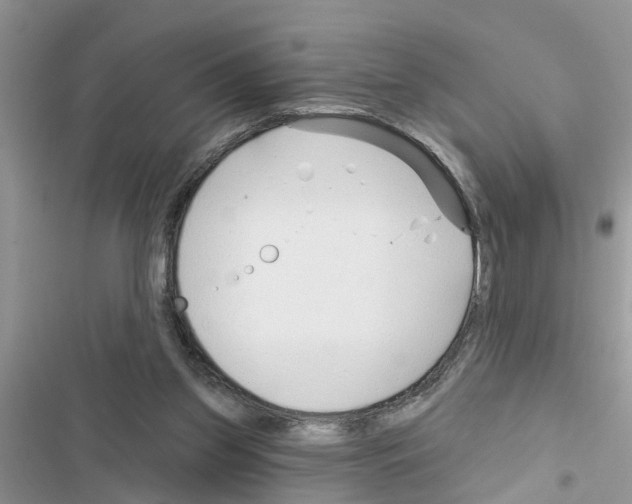 X0000116630157201001221408