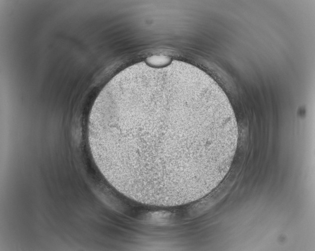 X0000116630158201001221408